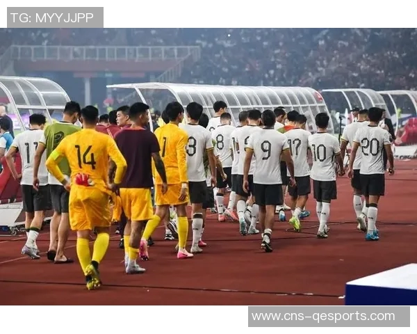 足球记者李璇深度解析中国足球现状与未来发展趋势 足球记者李璇深度解析中国足球现状与未来发展趋势